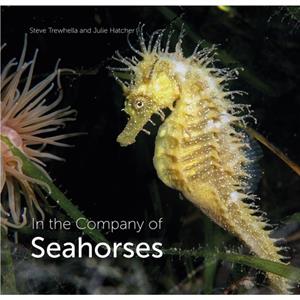 In the Company of Seahorses by Julie Hatcher