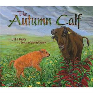 The Autumn Calf by Jill Haukos