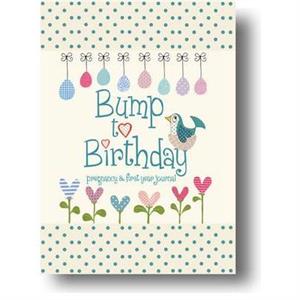 Bump to Birthday Pregnancy  First Year Journal by Stephens