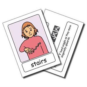 Lets Sign BSL Flashcards by Cath Smith