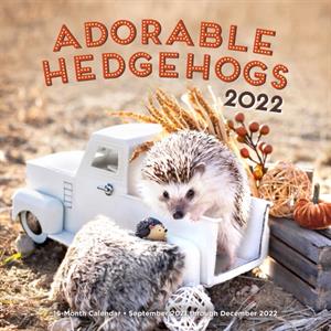 Adorable Hedgehogs 2022 by Editors of Rock Point