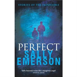 Perfect Stories of the Impossible by Sally Emerson