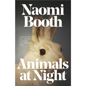 Animals at Night by Naomi Booth