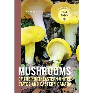 Mushrooms of the Northeast by Timothy J Baroni