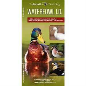 Waterfowl Id Set by Kevin J McGowan