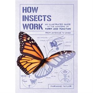 How Insects Work An Illustrated Guide to the Wonders of Form and FunctionFrom Antennae to Wings by Marianne Taylor