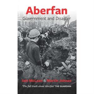 Aberfan by Martin Johnes