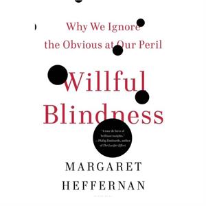 Willful Blindness  Why We Ignore the Obvious at Our Peril by Margaret Heffernan