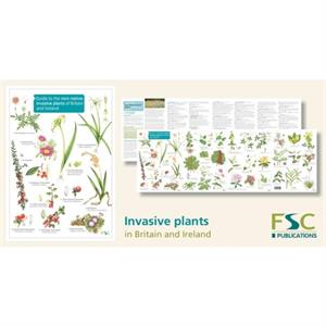 Guide to the nonnative invasive plants of Britain and Ireland by Rebecca FarleyBrown