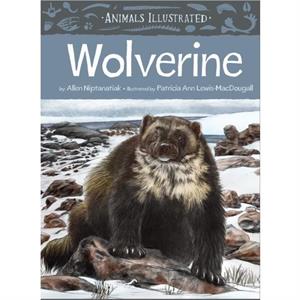 Animals Illustrated Wolverine by Allen Niptanatiak