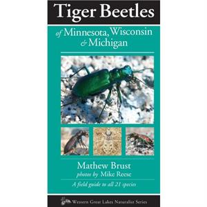 TigerBeetlesof Minnesota Wisconsin  Michigan by Mathew Brust