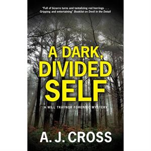 A Dark Divided Self by A.J. Cross