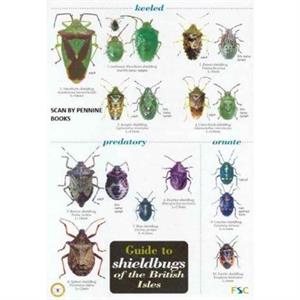 Guide to Shieldbugs of the British Isles by Bernard Nau