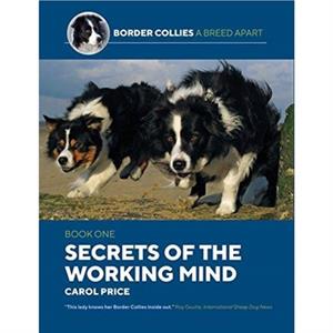 Secrets Of The Working Mind by Carol Price