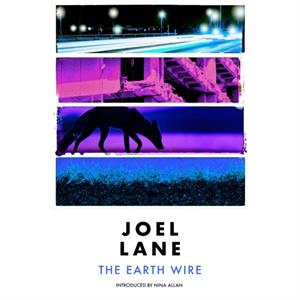 The Earth Wire by Joel Lane