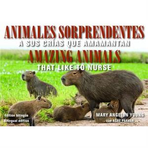 Animales Sorprendentes  Amazing Animals  English  Spanish Bilingual Edition by Ashe Ashe Parker Parker