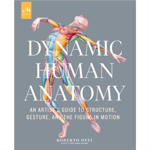 Dynamic Human Anatomy by Roberto Osti