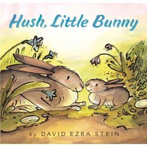 Hush Little Bunny Board Book by David Ezra Stein