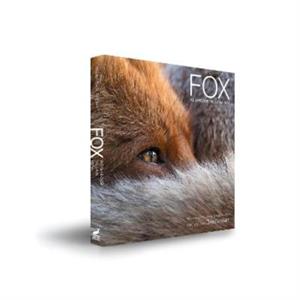 Fox by Andy Parkinson