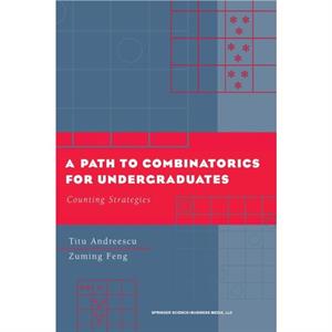 A Path to Combinatorics for Undergraduates by Zuming Feng