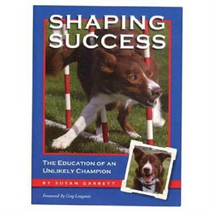Shaping Success by Susan Garrett