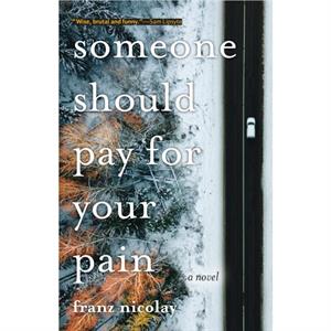 Someone Should Pay for Your Pain by Franz Nicolay