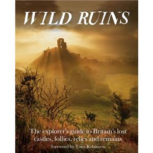 Wild Ruins by Dave Hamilton