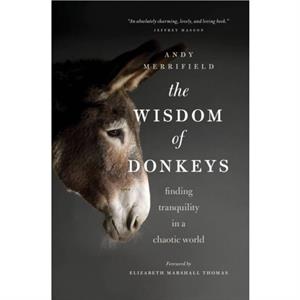 The Wisdom of Donkeys  Finding Tranquility in a Chaotic World by Andy Merrifield & Introduction by Elizabeth Marshall Thomas