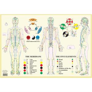 Meridians  Five Elements  A2 by Jan van Baarle