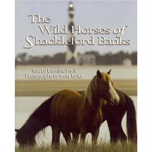 Wild Horses of Shackleford Banks by Carmine Prioli