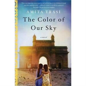 The Color of Our Sky by Amita Trasi