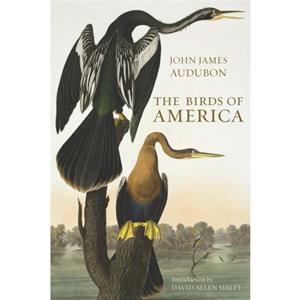 The Birds of America by John James Audubon