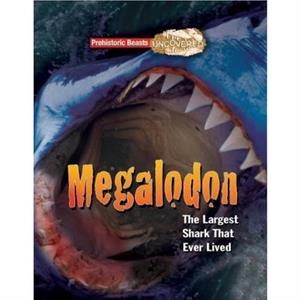 Megalodon by Dougal Dixon