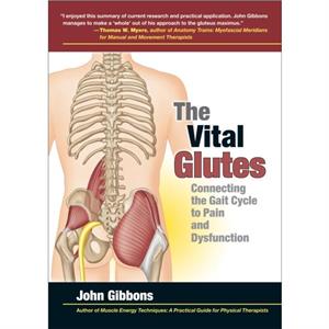 The Vital Glutes by John Gibbons