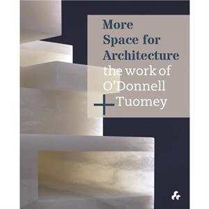 More Space for Architecture The Work of ODonnell  Tuomey by John Tuomey