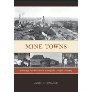 Mine Towns by Alison K. Hoagland