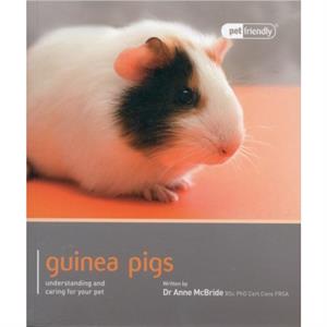 Guinea Pig  Pet Friendly by Anne Mcbride