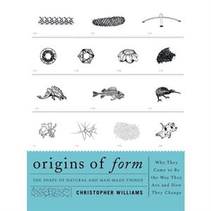 Origins of Form by Christopher Williams