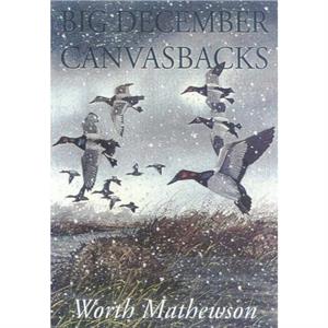 Big December Canvasbacks Revised by Worth Mathewson