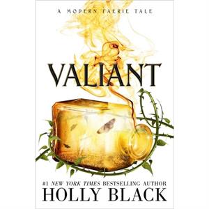 Valiant  A Modern Faerie Tale by Holly Black