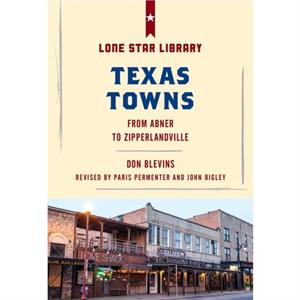 Texas Towns by Don Blevins