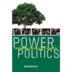 Power Politics by Karen Brodkin