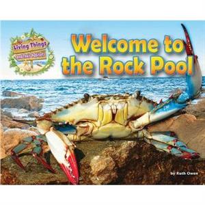 Welcome to the Rock Pool by Ruth Owen