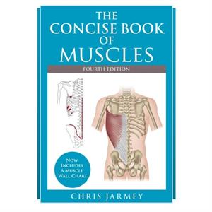 The Concise  Book of Muscles  Fourth Edition by Chris Jarmey