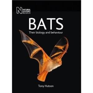 Bats by Tony Hutson