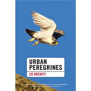 Urban Peregrines by Ed Drewitt