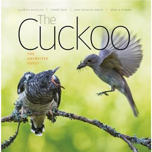 The Cuckoo by Bard G. Stokke