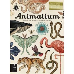 Animalium  Welcome to the Museum by Jenny Broom & Illustrated by Katie Scott