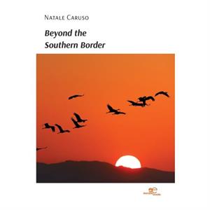 BEYOND THE SOUTHERN BORDER by Natale Caruso