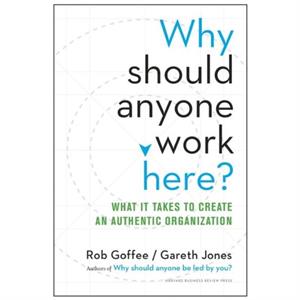 Why Should Anyone Work Here by Gareth Jones